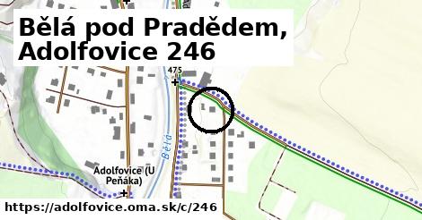 Bělá pod Pradědem, Adolfovice <span class="supisne">246</span>