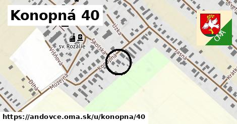 Konopná 40, Andovce