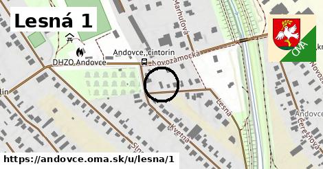 Lesná 1, Andovce