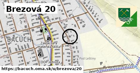 Brezová 20, Bacúch