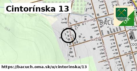 Cintorínska 13, Bacúch