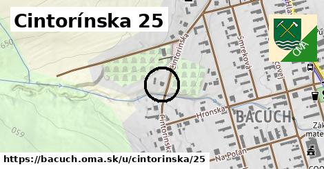 Cintorínska 25, Bacúch