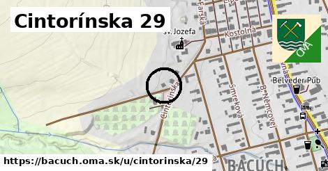 Cintorínska 29, Bacúch