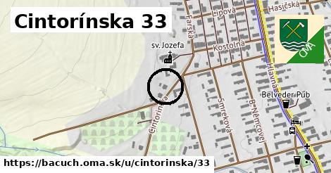 Cintorínska 33, Bacúch