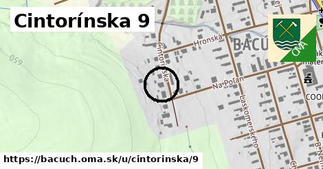 Cintorínska 9, Bacúch