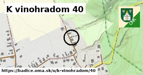 K vinohradom 40, Bádice