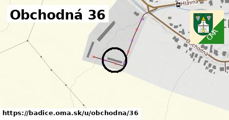 Obchodná 36, Bádice