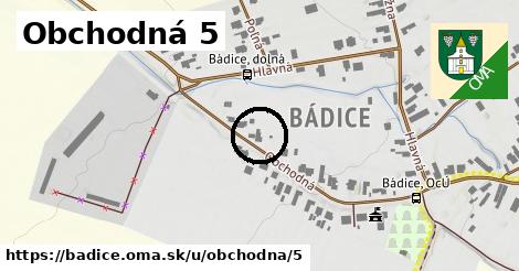 Obchodná 5, Bádice