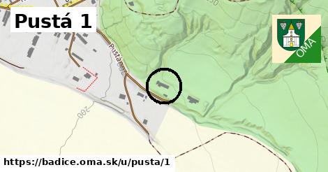 Pustá 1, Bádice