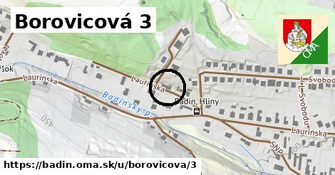Borovicová 3, Badín