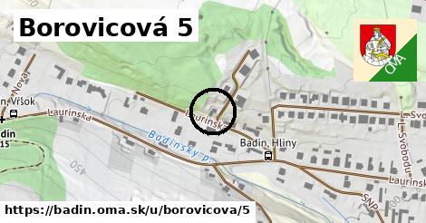 Borovicová 5, Badín