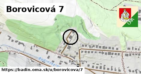 Borovicová 7, Badín