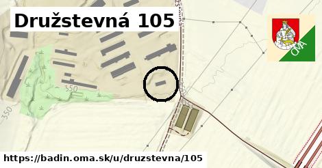 Družstevná 105, Badín