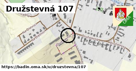 Družstevná 107, Badín