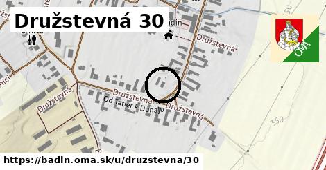 Družstevná 30, Badín