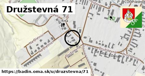 Družstevná 71, Badín