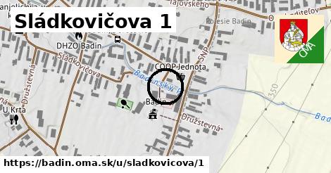 Sládkovičova 1, Badín