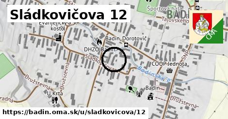 Sládkovičova 12, Badín