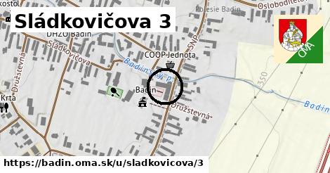 Sládkovičova 3, Badín