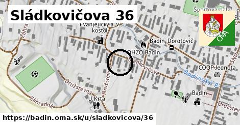 Sládkovičova 36, Badín