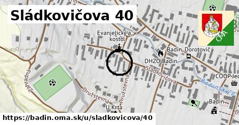 Sládkovičova 40, Badín