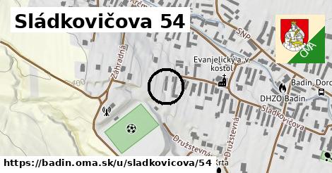 Sládkovičova 54, Badín