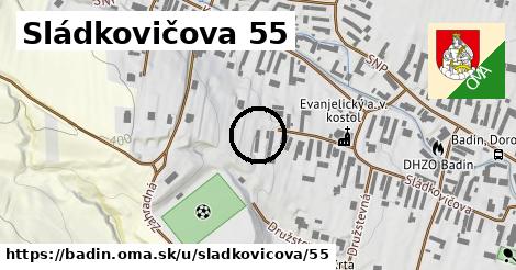 Sládkovičova 55, Badín