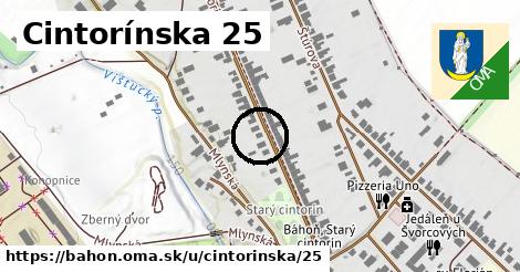 Cintorínska 25, Báhoň