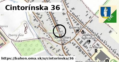 Cintorínska 36, Báhoň