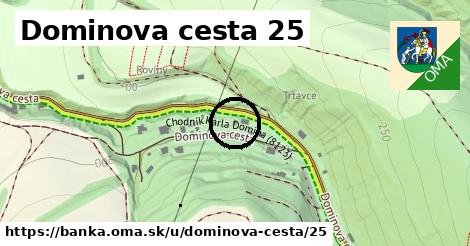 Dominova cesta 25, Banka