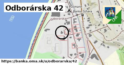 Odborárska 42, Banka