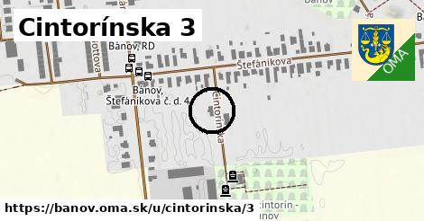Cintorínska 3, Bánov