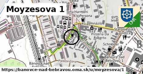 Moyzesova 1, Bánovce nad Bebravou