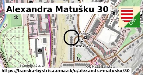 Alexandra Matušku 30, Banská Bystrica