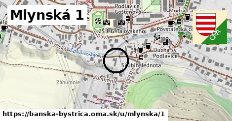 Mlynská 1, Banská Bystrica