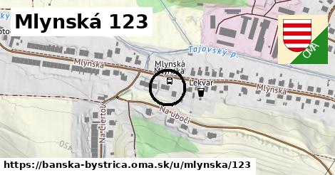 Mlynská 123, Banská Bystrica