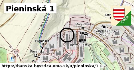 Pieninská 1, Banská Bystrica