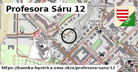 Profesora Sáru 12, Banská Bystrica