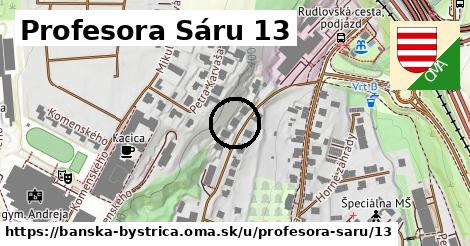 Profesora Sáru 13, Banská Bystrica