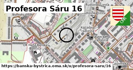 Profesora Sáru 16, Banská Bystrica