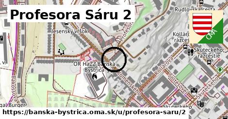 Profesora Sáru 2, Banská Bystrica