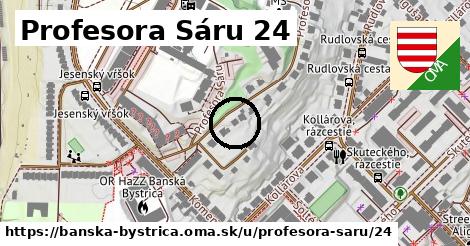 Profesora Sáru 24, Banská Bystrica