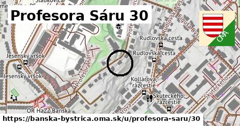 Profesora Sáru 30, Banská Bystrica