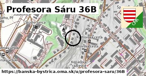 Profesora Sáru 36B, Banská Bystrica