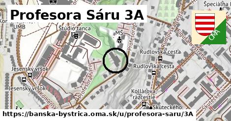 Profesora Sáru 3A, Banská Bystrica