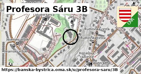 Profesora Sáru 3B, Banská Bystrica