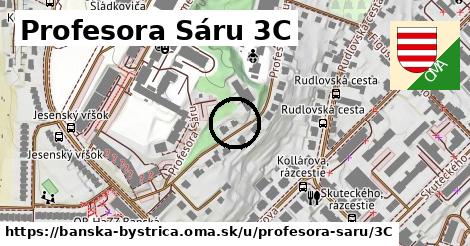 Profesora Sáru 3C, Banská Bystrica