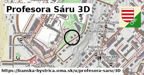 Profesora Sáru 3D, Banská Bystrica