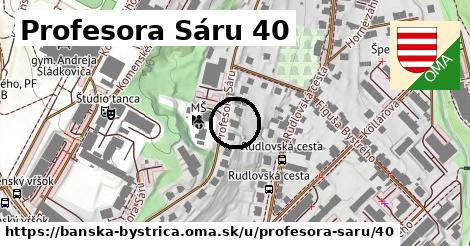 Profesora Sáru 40, Banská Bystrica