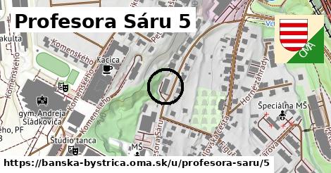 Profesora Sáru 5, Banská Bystrica